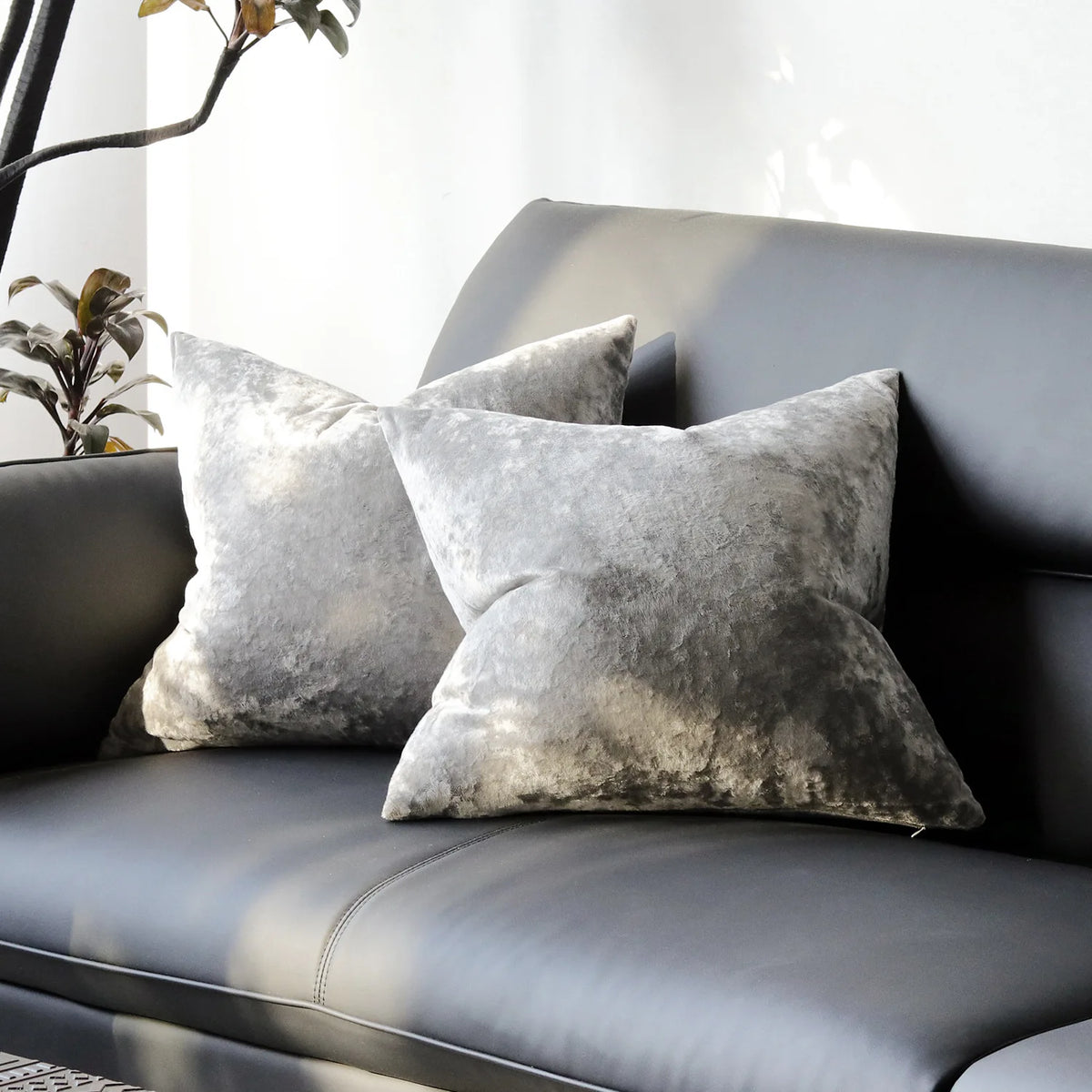 PlushAura Velvet Cushion Cover