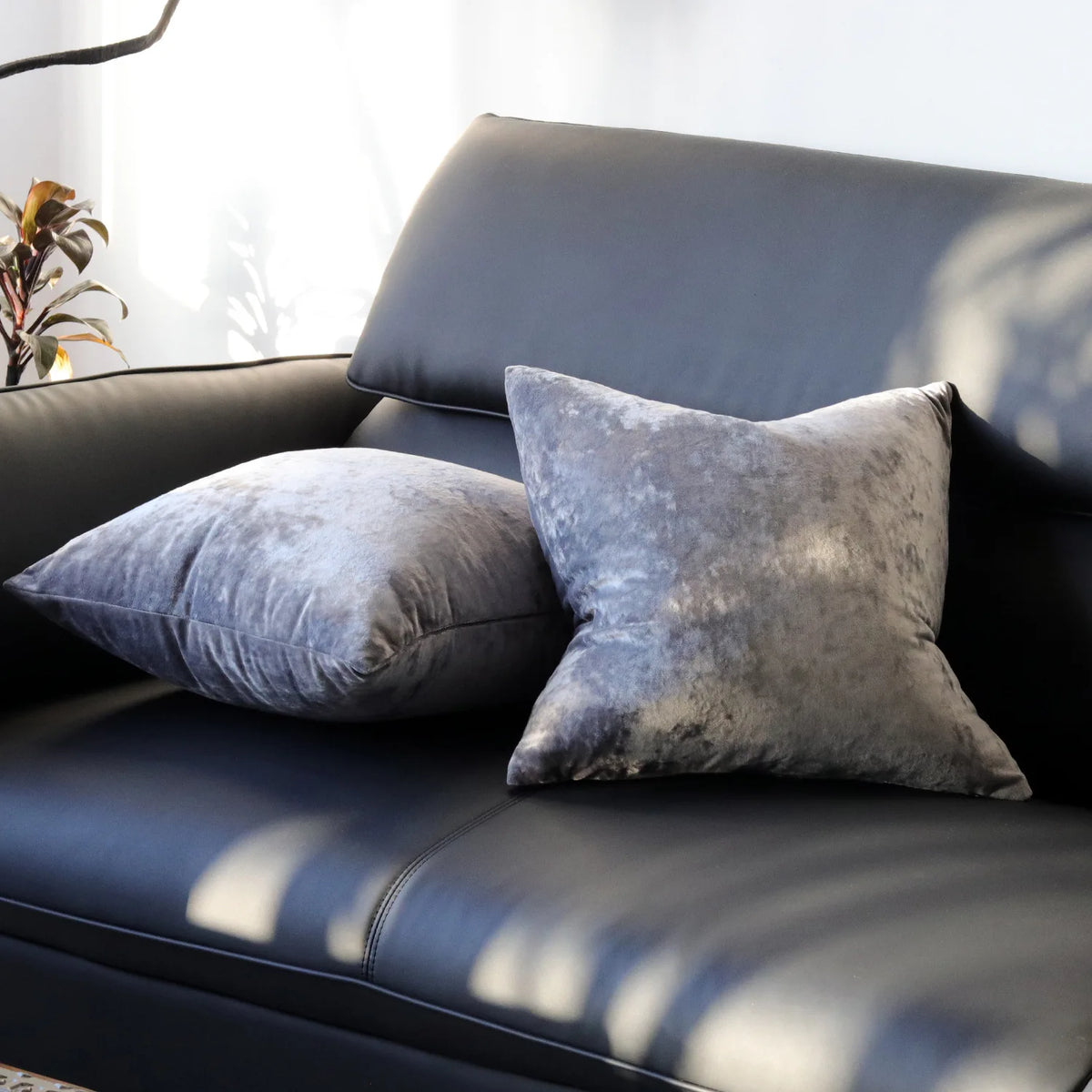 PlushAura Velvet Cushion Cover