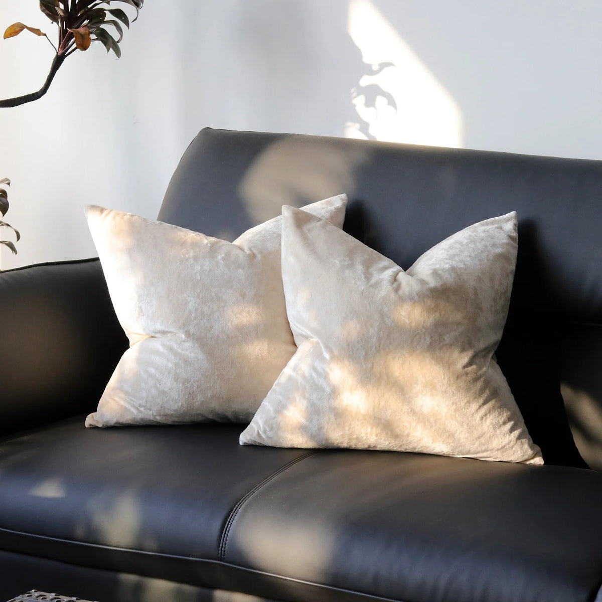 PlushAura Velvet Cushion Cover