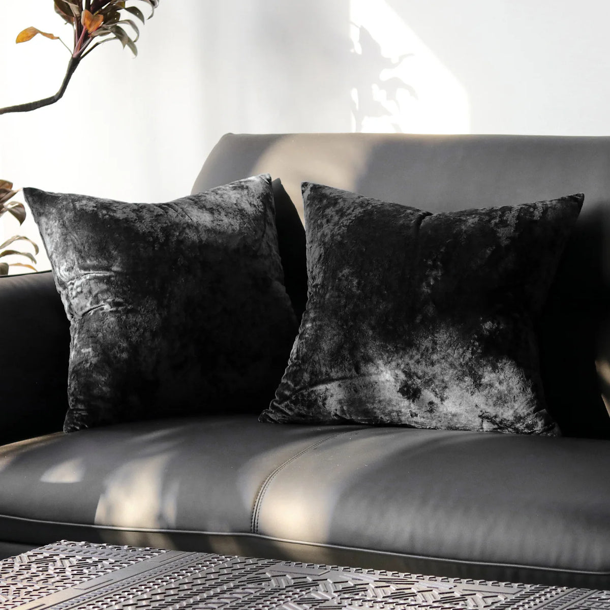 PlushAura Velvet Cushion Cover
