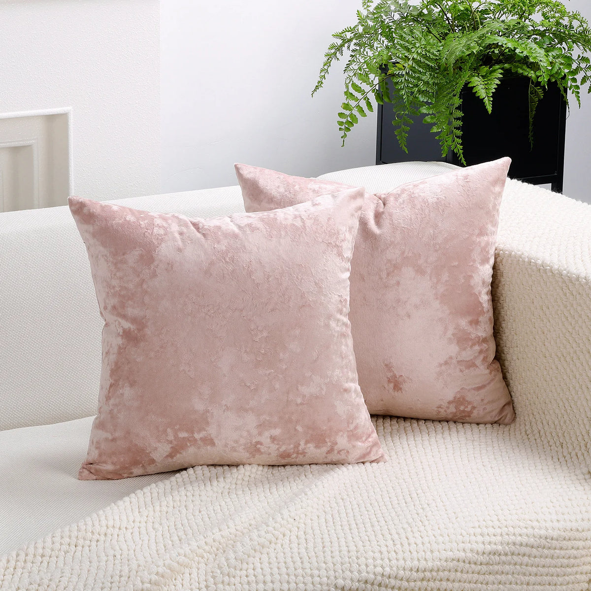 PlushAura Velvet Cushion Cover