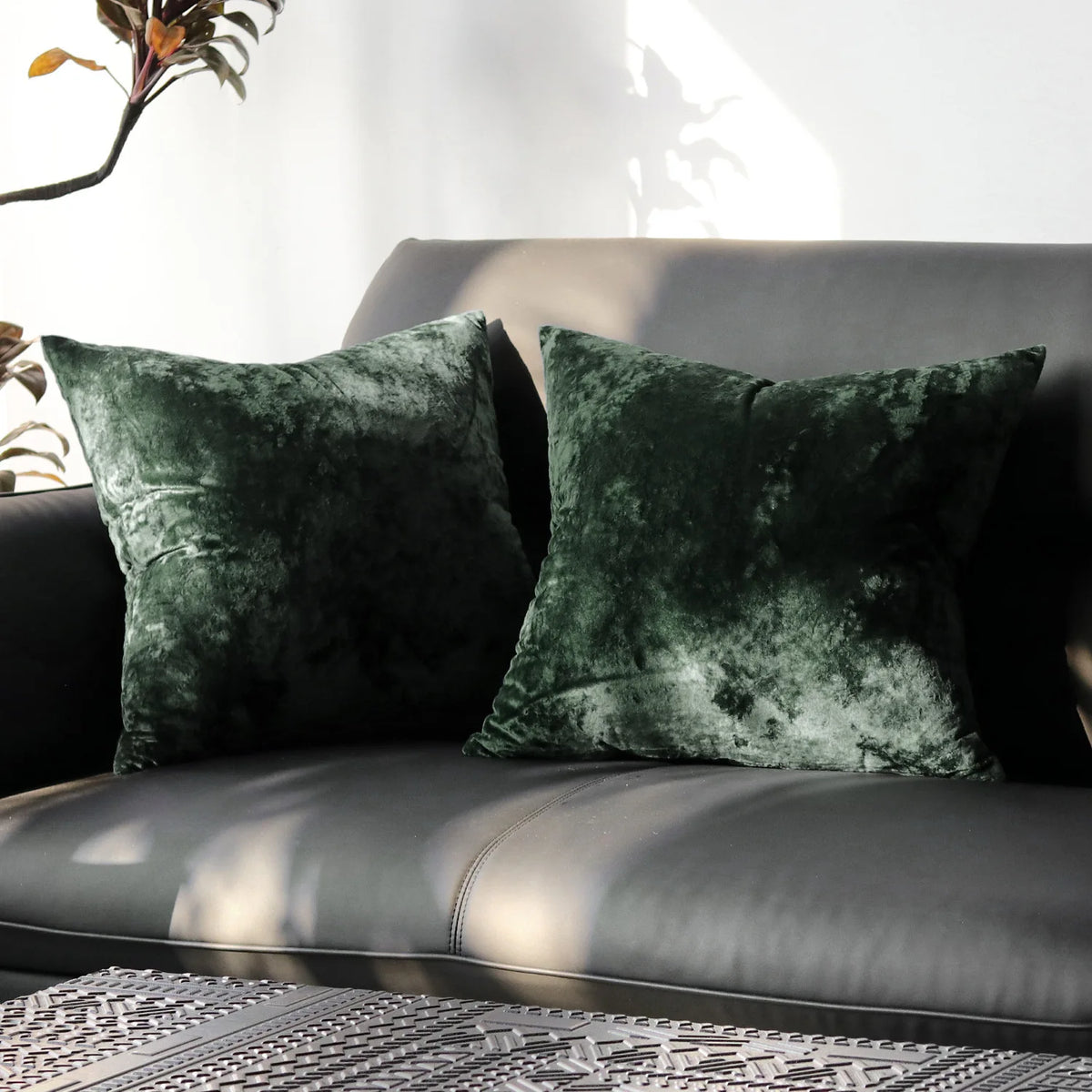 PlushAura Velvet Cushion Cover