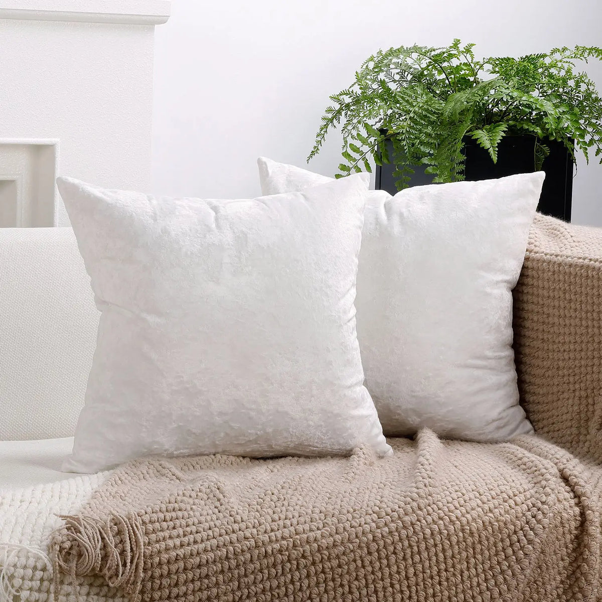 PlushAura Velvet Cushion Cover