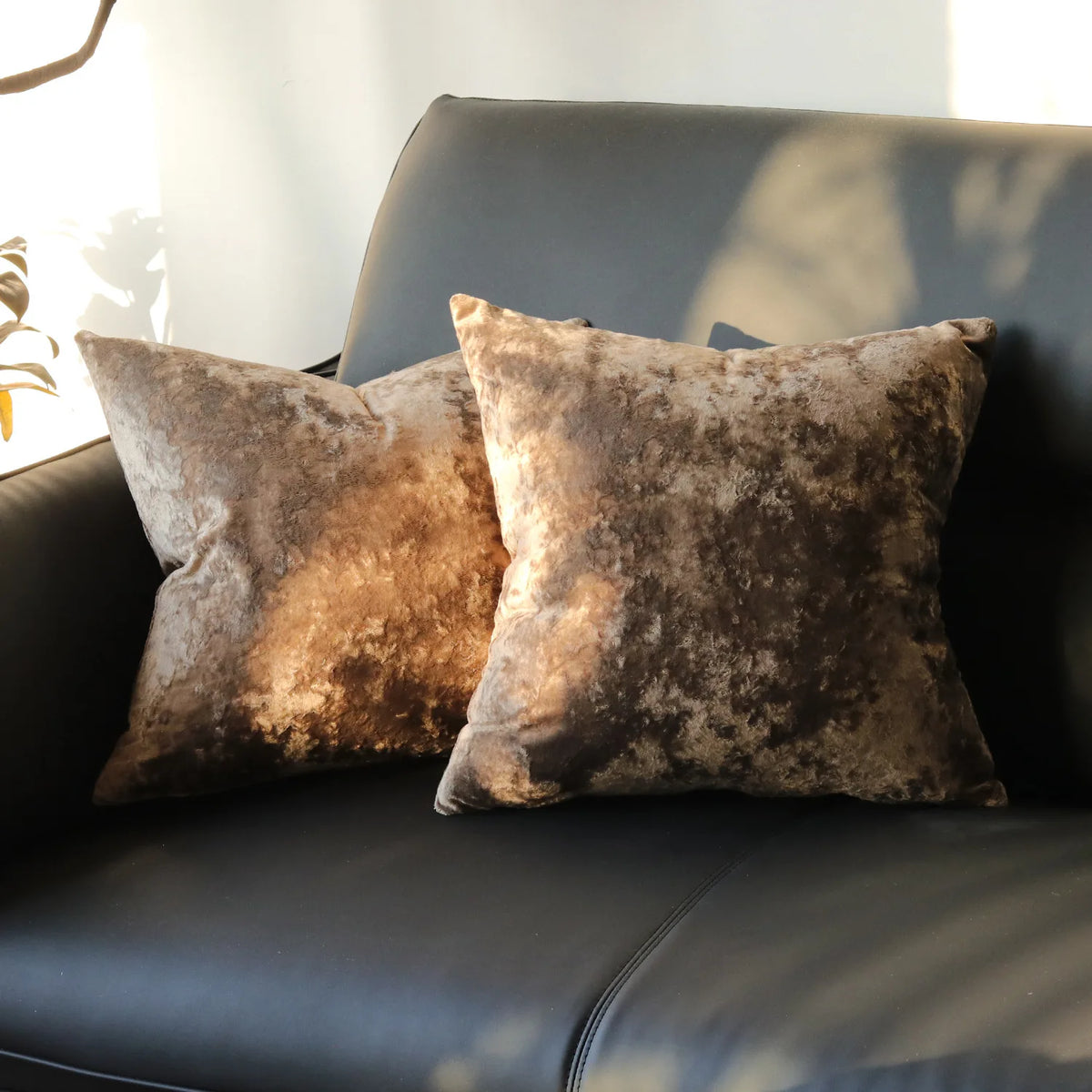 PlushAura Velvet Cushion Cover
